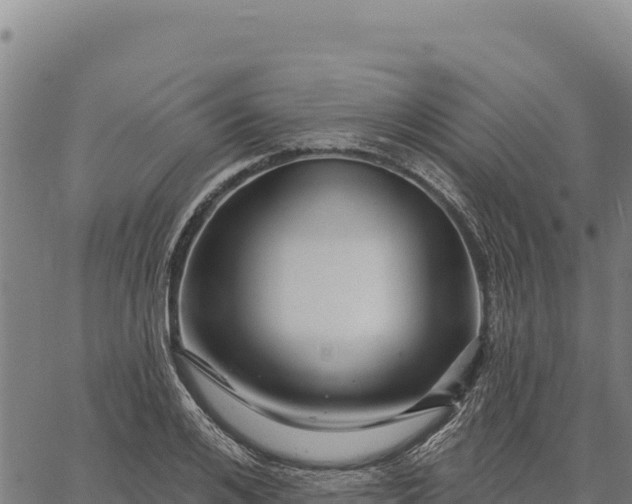 X0000066510984200603311725