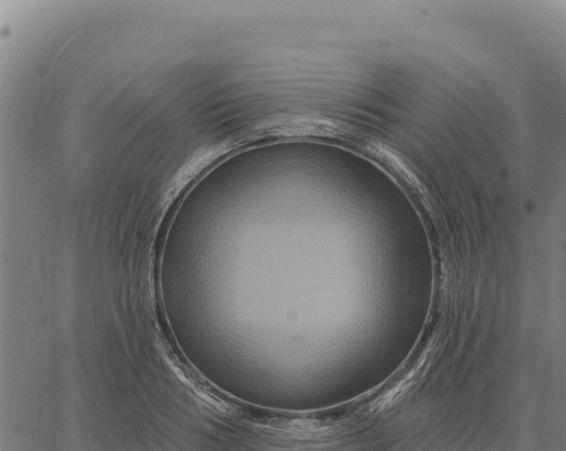 X0000066510986200603311725