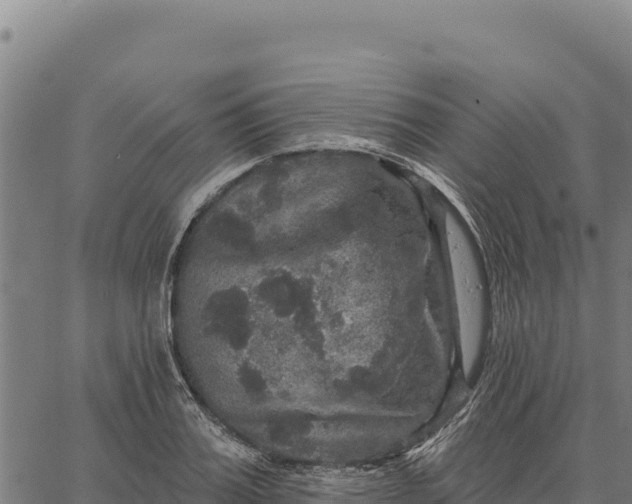 X0000066510987200603311725