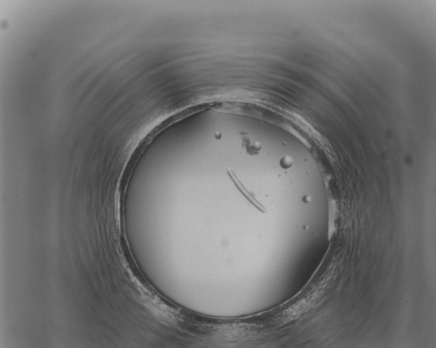 X0000066510988200603311725