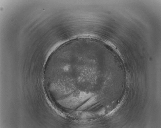 X0000066510989200603311725