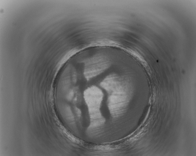 X0000066510990200603311725