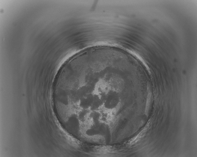 X0000066510991200603311725