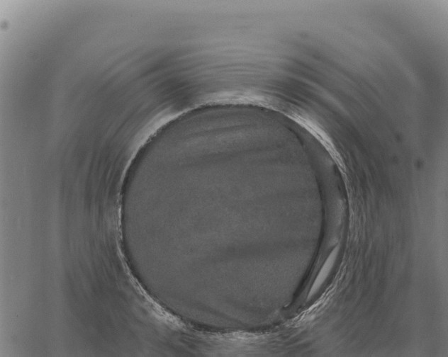 X0000066510992200603311725