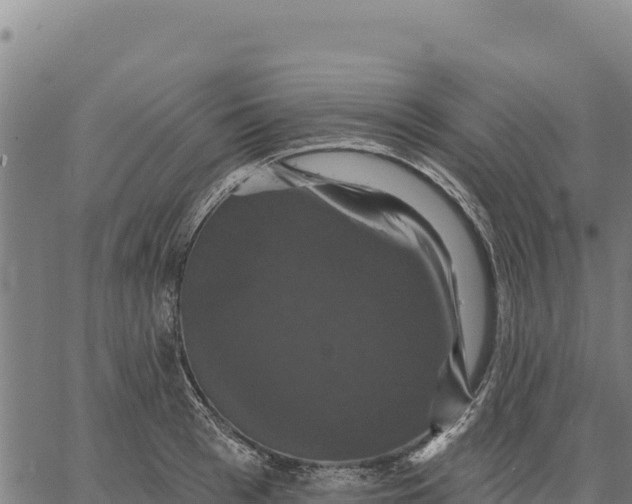 X0000066510993200603311725