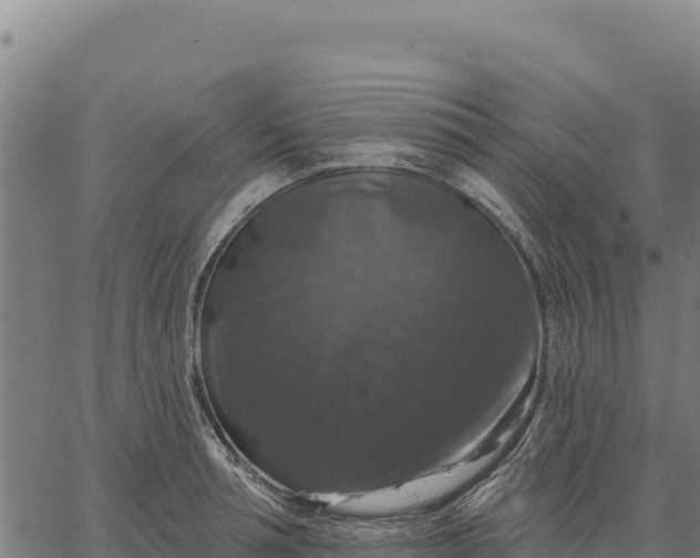 X0000066510994200603311725