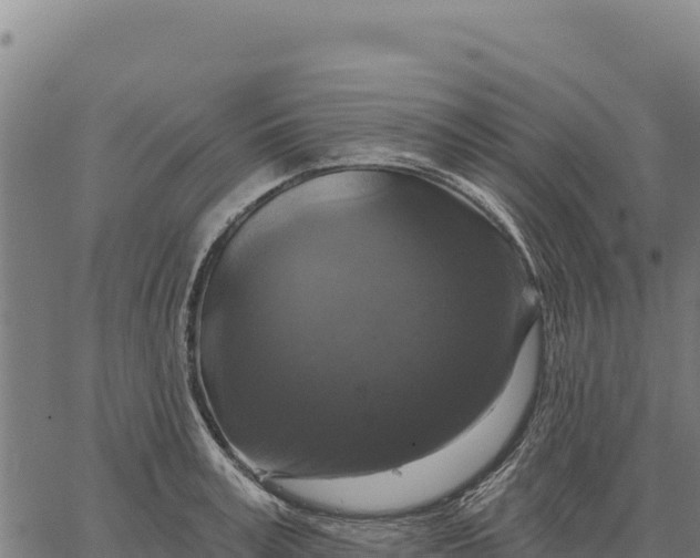 X0000066510995200603311725