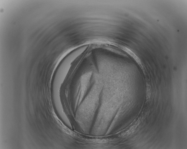 X0000066510996200603311725