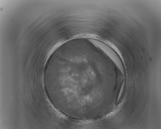 X0000066510997200603311725