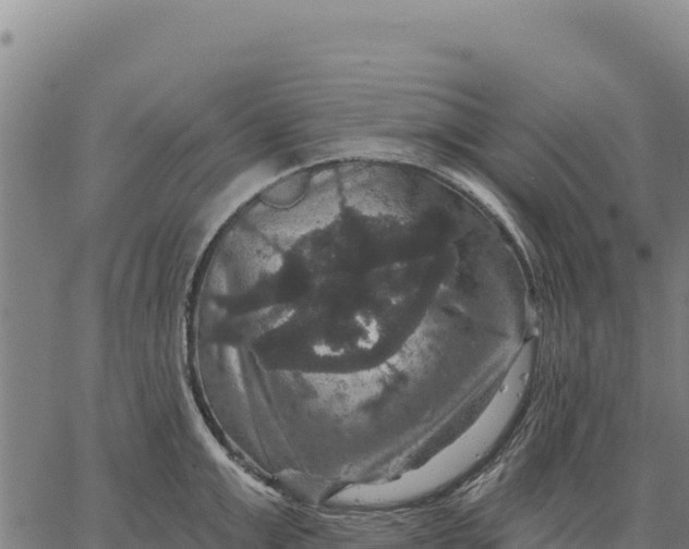 X0000066510999200603311725