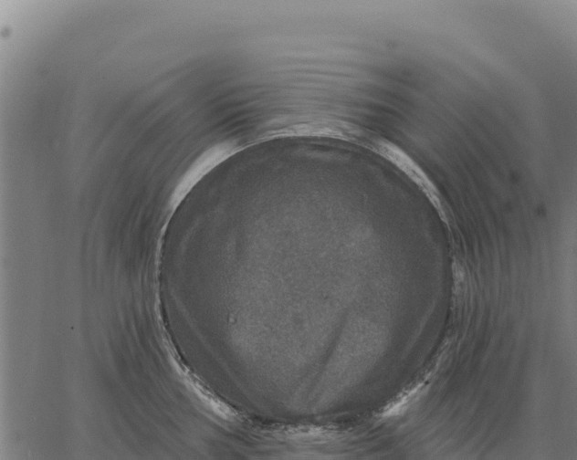 X0000066511002200603311725