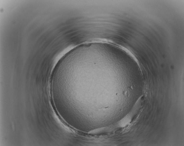 X0000066511003200603311725