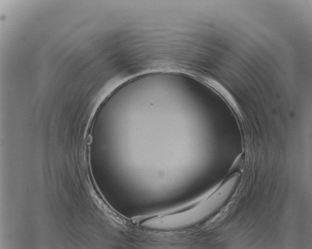 X0000066511004200603311725