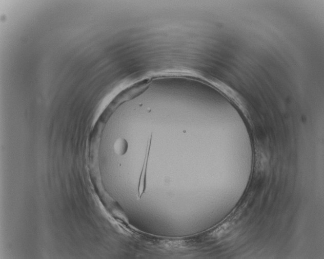 X0000066511006200603311725