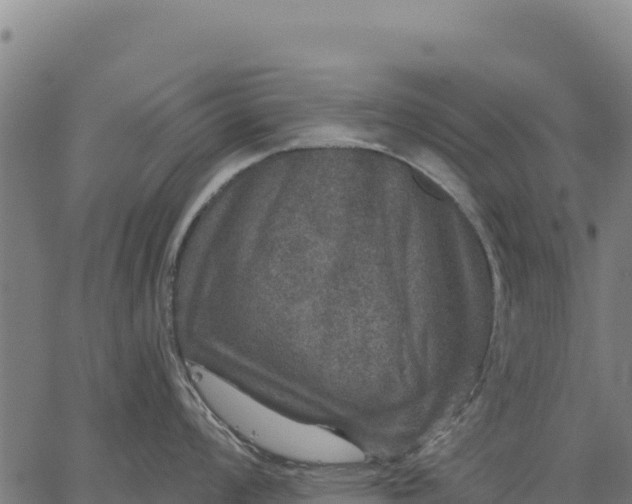 X0000066511008200603311725