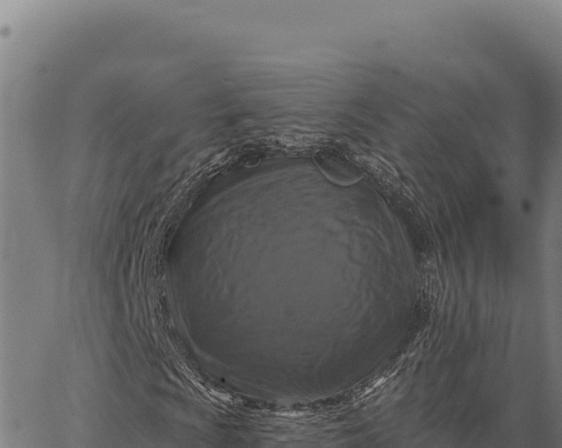 X0000066511009200603311724