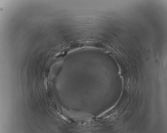 X0000066511010200603311724