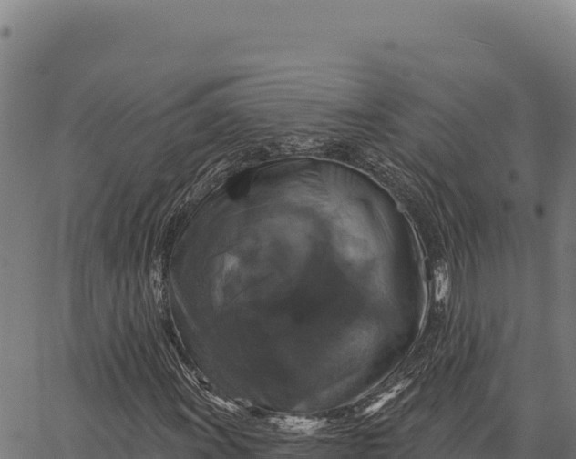 X0000066511011200603311724