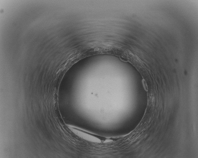 X0000066511012200603311724