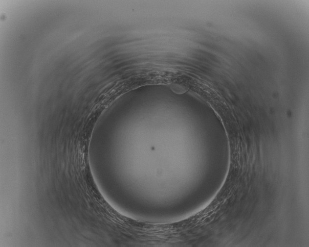 X0000066511013200603311724