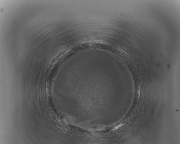 X0000066511014200603311724