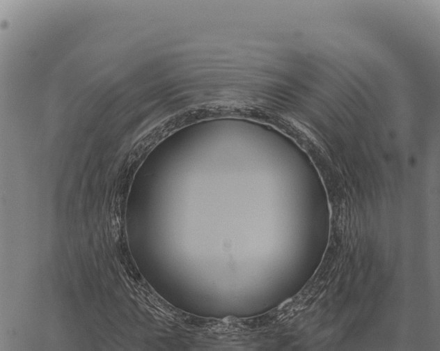 X0000066511015200603311724