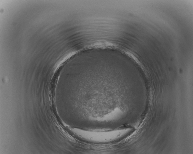 X0000066511018200603311724