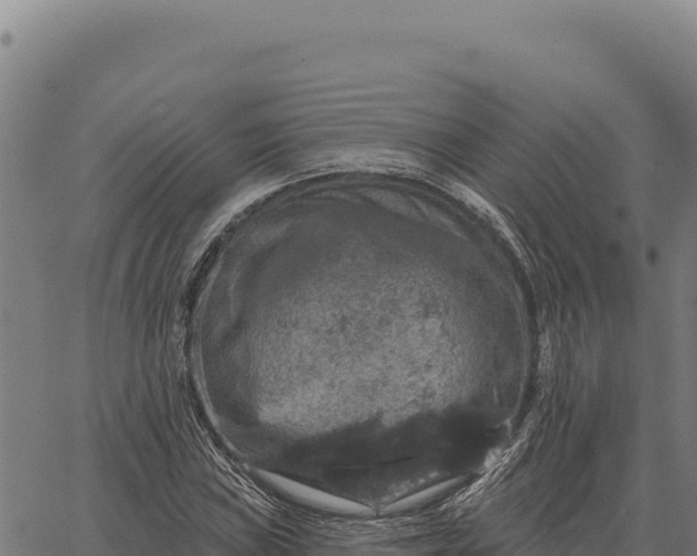 X0000066511019200603311724