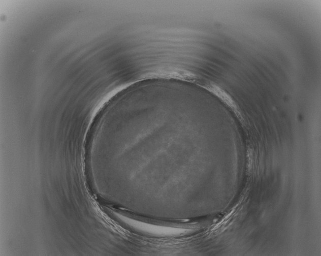 X0000066511020200603311724