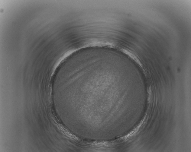 X0000066511021200603311724