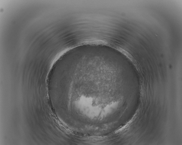 X0000066511022200603311724