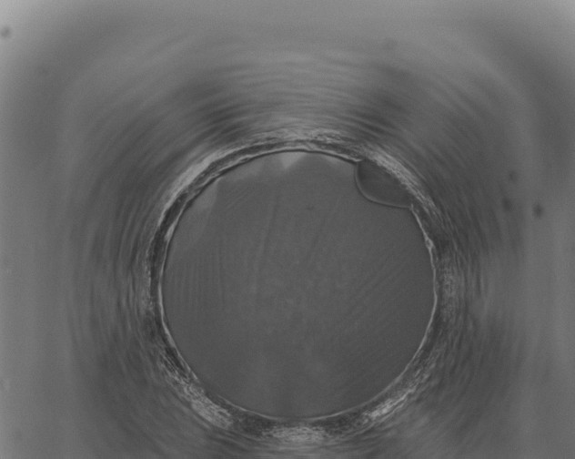 X0000066511023200603311724