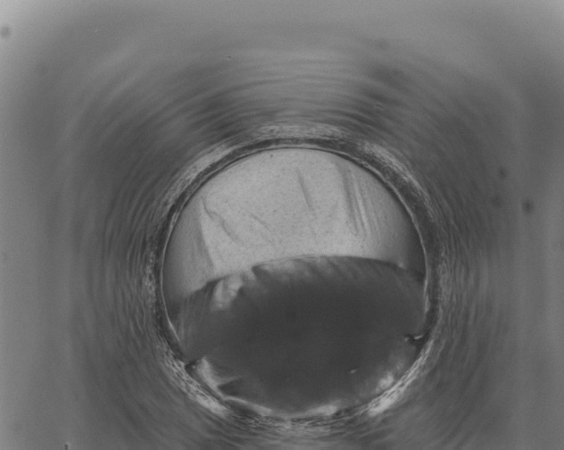 X0000066511025200603311724