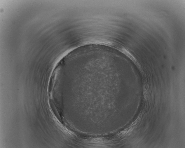 X0000066511028200603311724