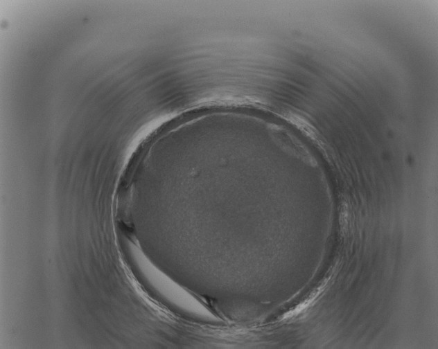 X0000066511030200603311724