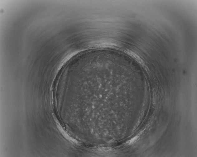 X0000066511031200603311724