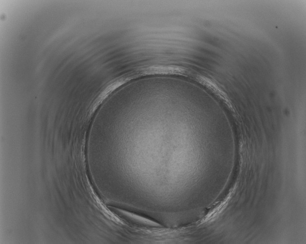 X0000066511033200603311724