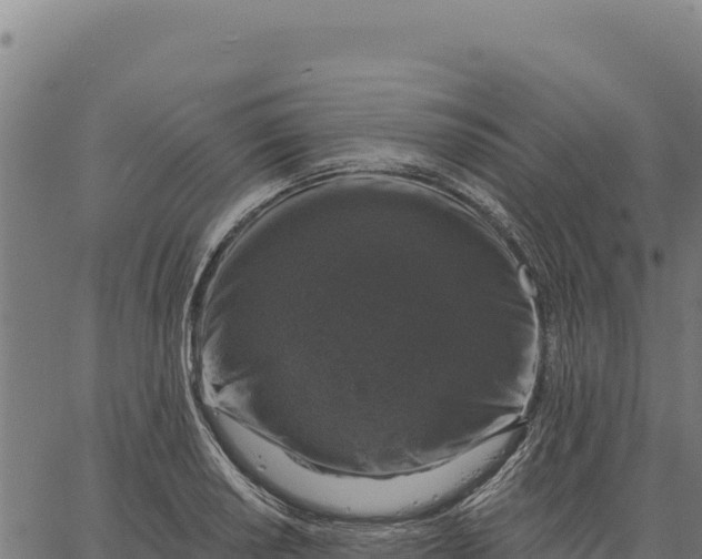 X0000066511034200603311724