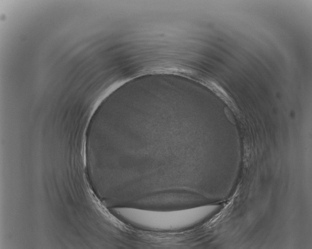 X0000066511036200603311724