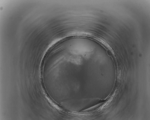 X0000066511037200603311724