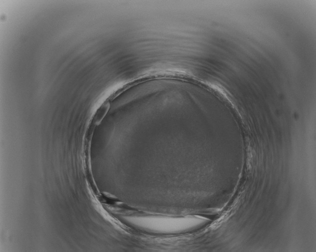 X0000066511038200603311724