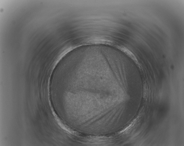 X0000066511039200603311724