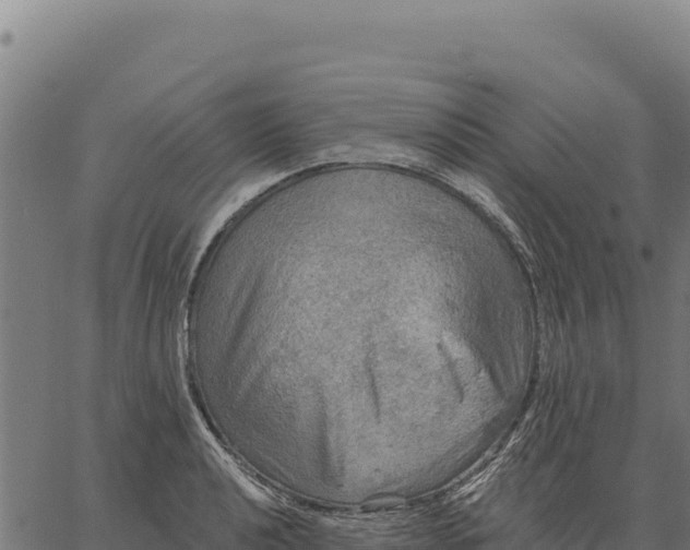 X0000066511040200603311724