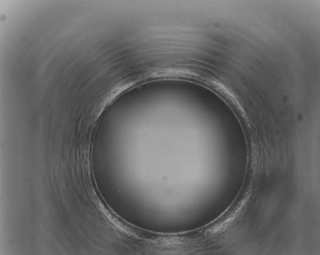 X0000066511041200603311724