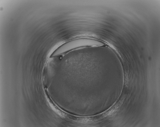 X0000066511042200603311724