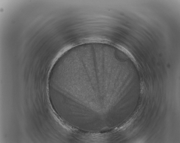 X0000066511043200603311724