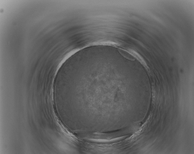 X0000066511044200603311724