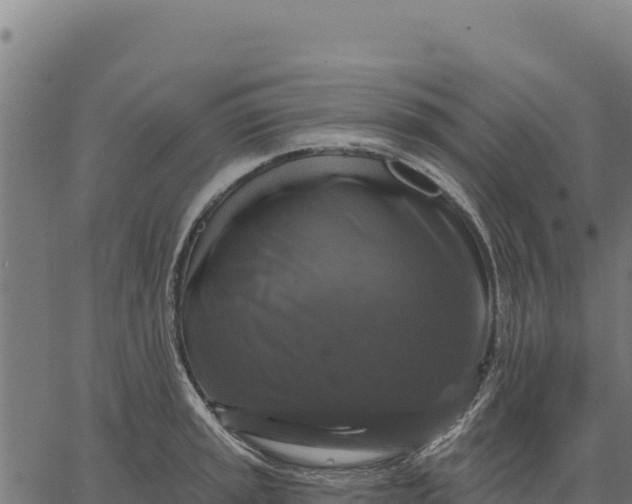 X0000066511045200603311724