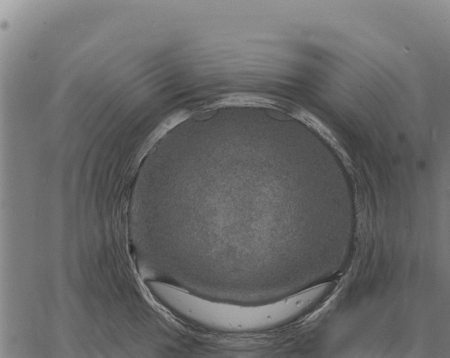 X0000066511049200603311724