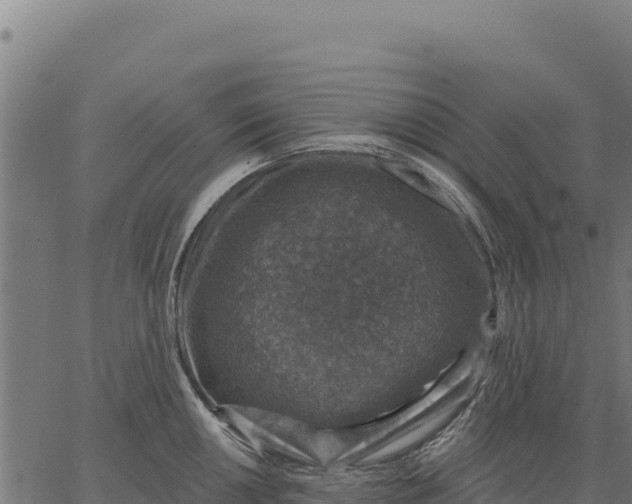 X0000066511050200603311724